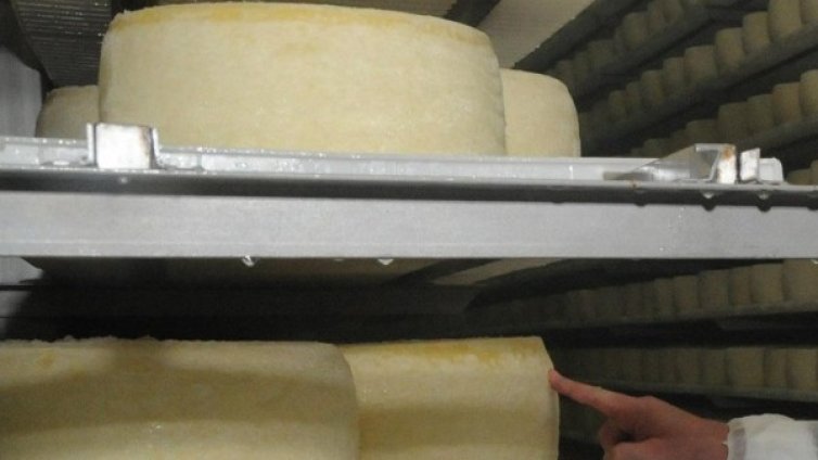 Продължават да ни продават сирене-менте