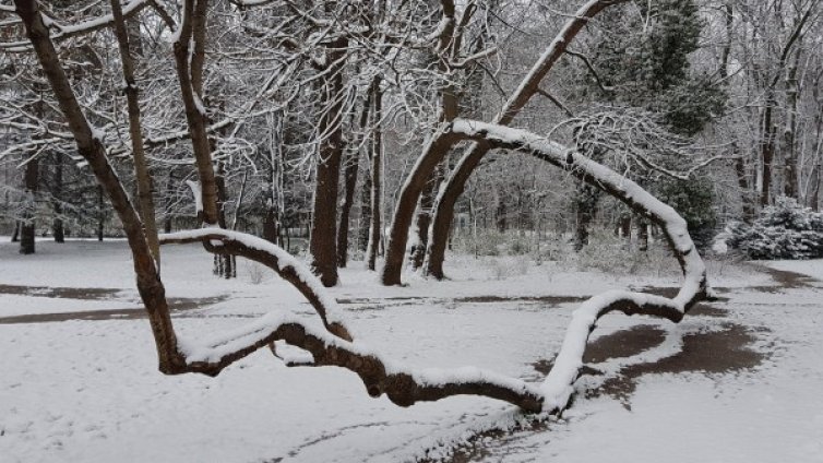 Заради пролетното зимно бедствие: Ваканция в Попово