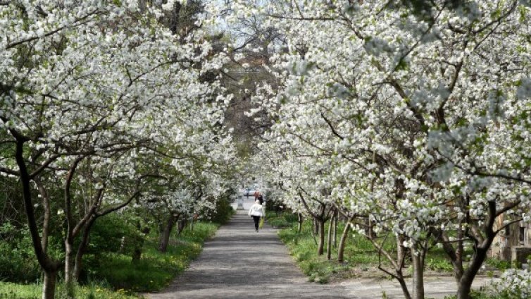 И все пак пролетта идва! Но преди това &ndash; още малко сняг