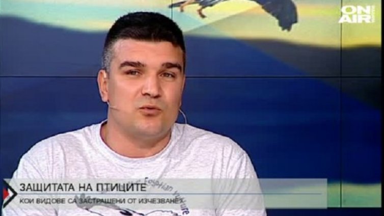 Прибиране на птици в домашни условия? Крие рискове!