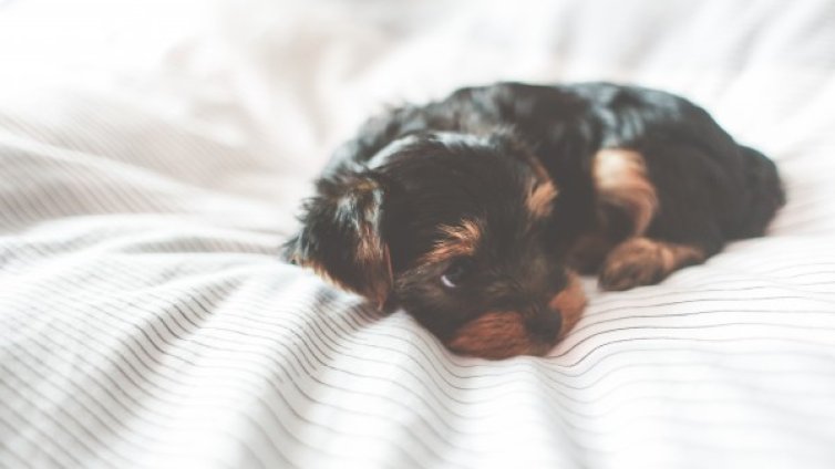 Изтощени сте! 18 ползи от добрата дрямка