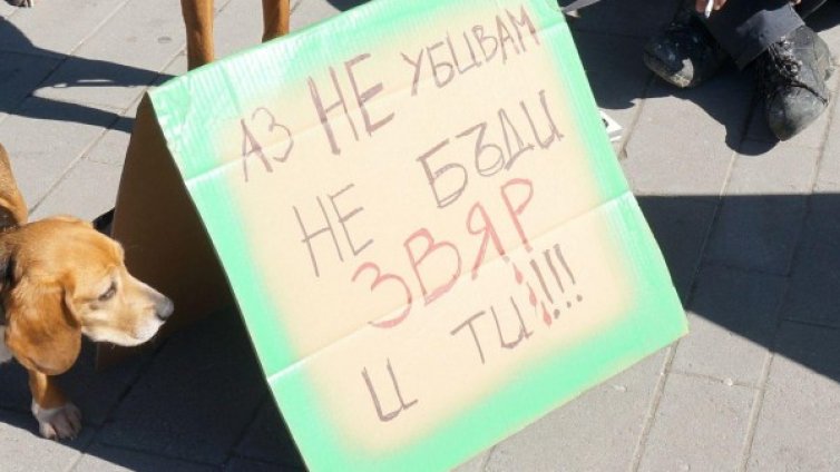 За убийството на Нягол: 31 години и 4  месеца затвор