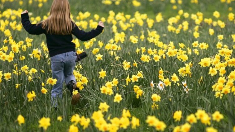 Априлската жега гони рекорда, но идният май &ndash; типичен за сезона! 