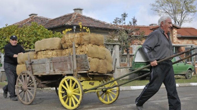 Земята ни &ndash; раздробена на 20 млн. парчета между 3 млн. собственици!