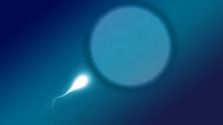 Зачеване - може ли да се отдели искра? 