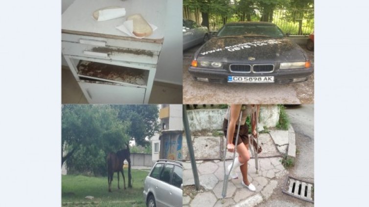 HelpBook: Липса на хигиена в болница, коне, "живи тротоари"