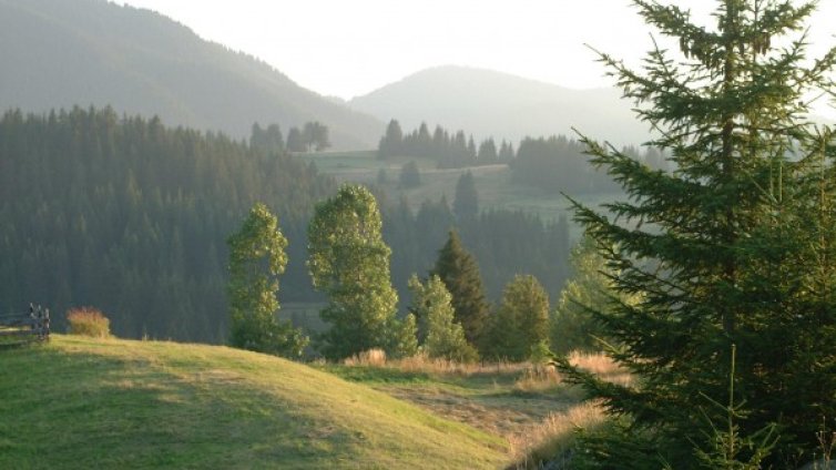 Преди обяд слънце, след това &ndash; дъжд и гръмотевици