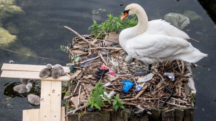 Слънце с малко вятър в сряда, живакът скача до 31&deg;C