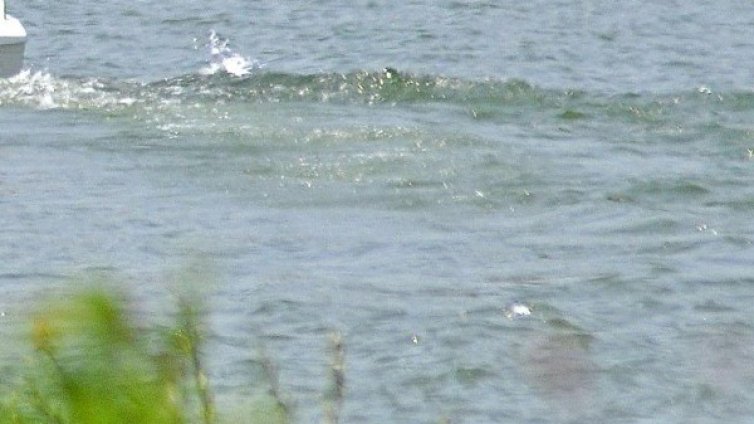 Дете се удави във водоем в Радомирско