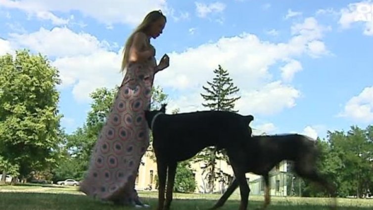 Пореден случай на нахапан от куче. Този път Мис Лято &ndash; Алина Дуарте