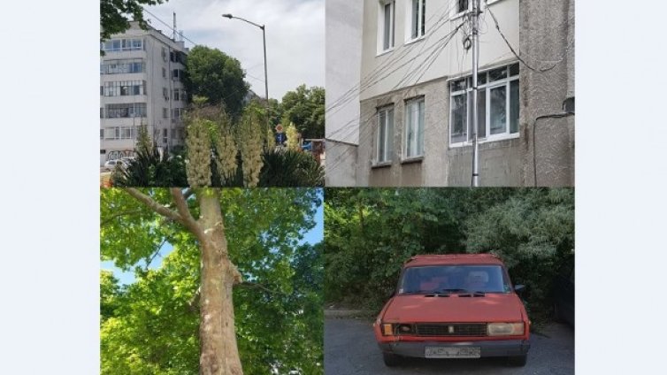 HelpBook: Варна &ndash; неработещо осветление, опасни кабели... 