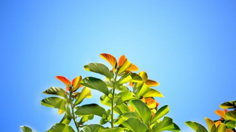 Слънчев и топъл петък. Температурите стигат до 34&deg;С