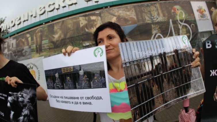 Вегани на протест - да се затвори зоопаркът в столицата