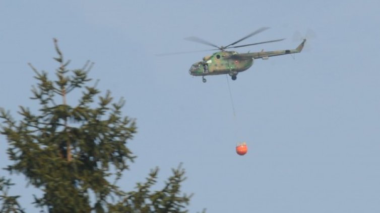 Въздушни ваксини срещу бяс &ndash; за дивите животни!