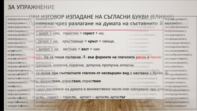 17-и закон от Освобождението насам: "Езикова полиция" ни пази!