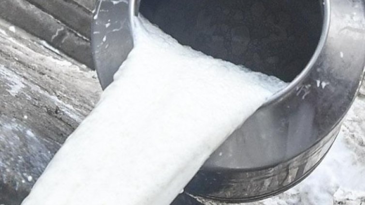 Мляко, уж прясно, а вече вкиснало в магазина