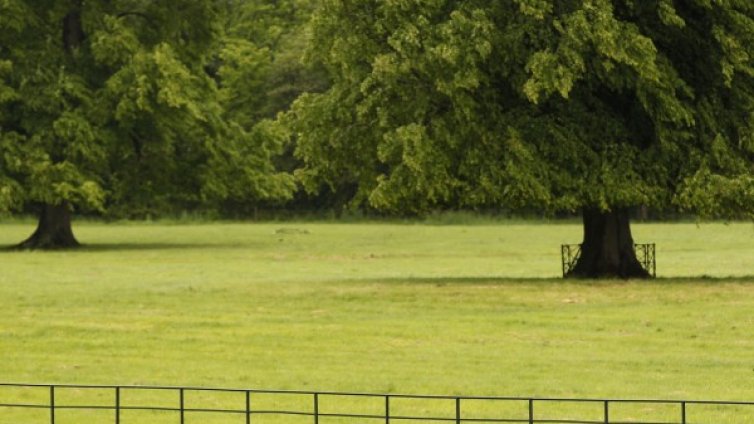 Пушенето забранено &ndash; в парковете в Страсбург