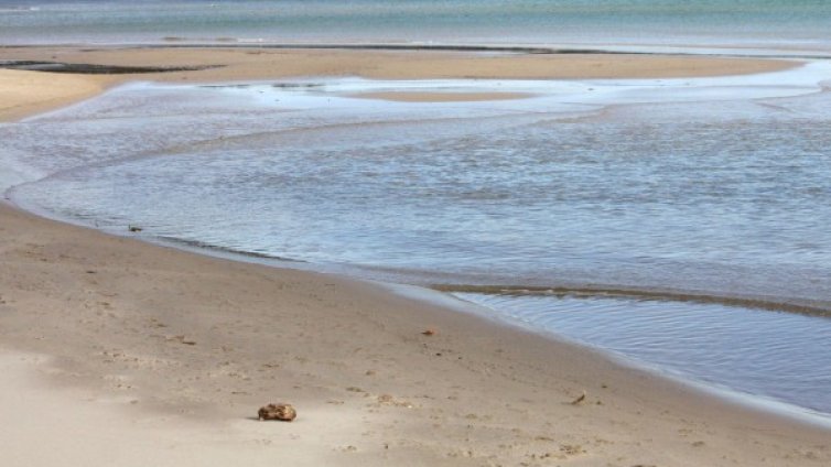 Издирва се:  Полякиня, дошла на почивка, изчезна в Поморие 