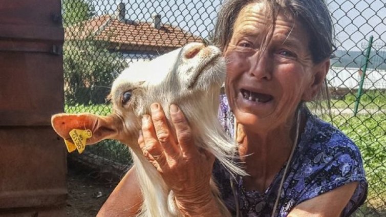 Гергана, Тодорка, Светла... "рожбички"-те на баба Дора &ndash; живи!