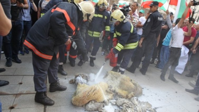 Изненадващо: Отлагат евтаназията на животни