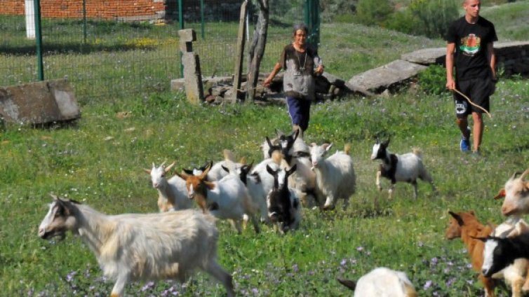 Заради чумата: ЕС поема 75% от обезщетенията за хората