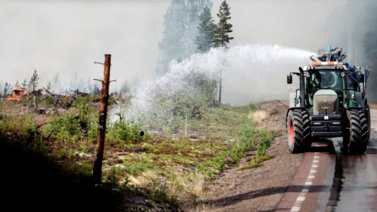 Берачите на боровинки в Швеция да не палят огън на открито 