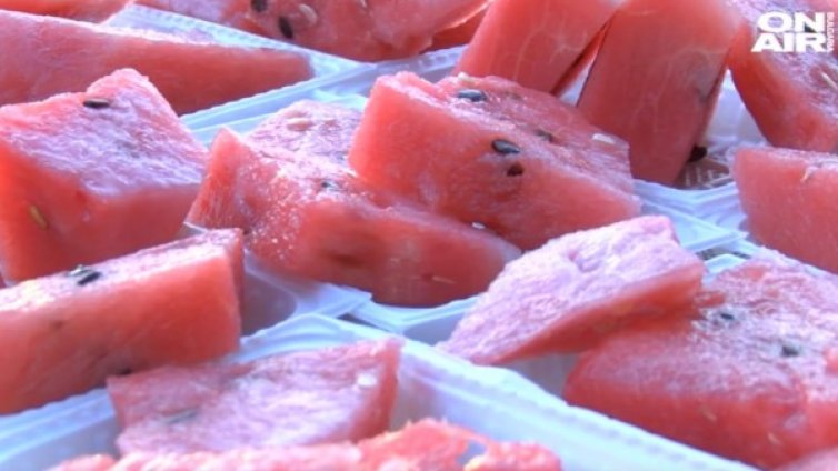 Никюп събра на диня стотици &ndash; 1 тон за лакомници!