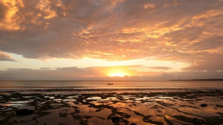 Живакът удря и 36&deg;C във вторник, в София &ndash; 31&deg;C