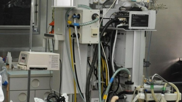 Донор в мозъчна смърт даде шанс за живот на две жени