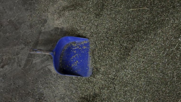 Хванаха 11 черногорци с 20 тона хашиш за ?65 млн.