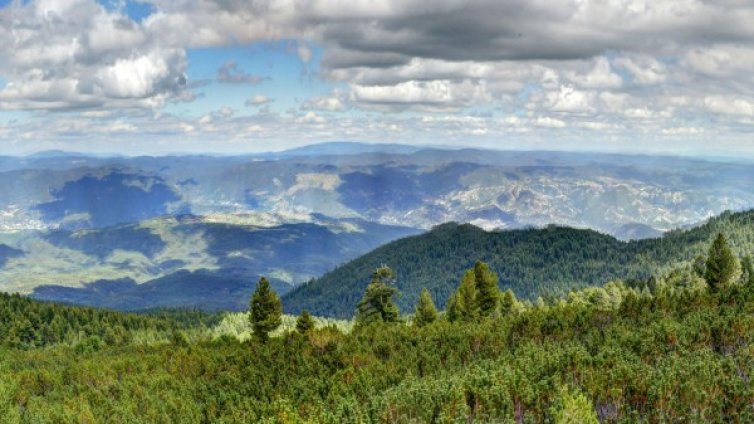 Тийнейджъри се загубиха в Родопите! Търсят ги, а те в обор