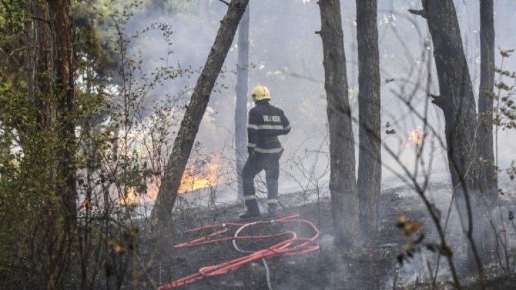 40 дка гора гори над Карлово