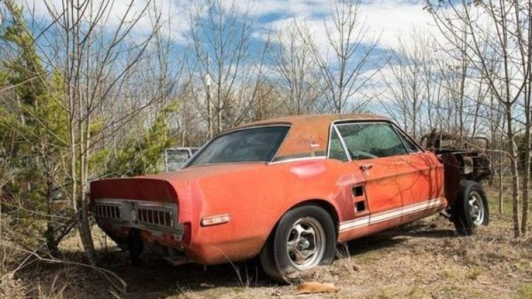Какво бижу! Рядък Mustang ръждясва 20 г. в полето