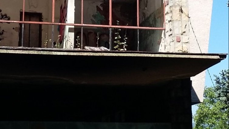 Вместо релакс на Витоша &ndash; счупени пейки, пълни кошчета с боклук