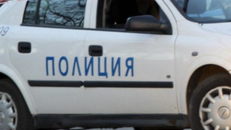 Кола блъсна елен на пътя край Разград, двама ранени