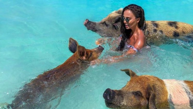 Съботен бис: Враца ми е Cat York, полята на Нови хан &ndash; VIP