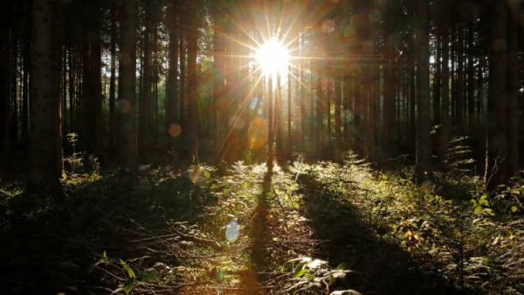 Времето през октомври &mdash; от минус 1 до 28 градуса