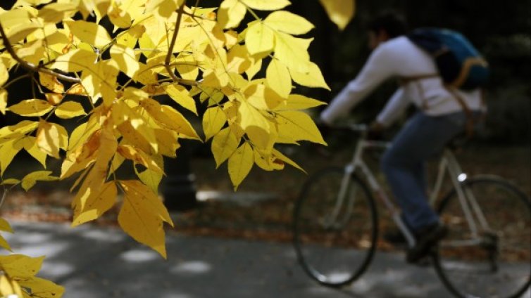 Слънчева есен: Типичен ден за октомври