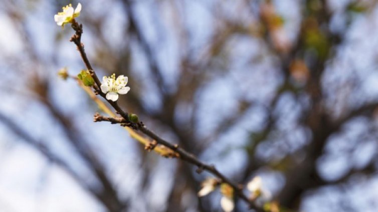 Денят в снимки &ndash; 4 октомври