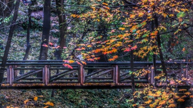 Слънчево над цялата страна, температурите до 24&deg;С