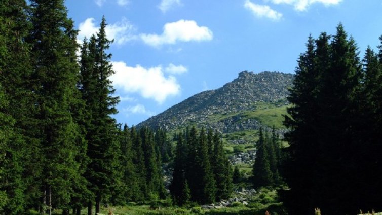 Природни паркове получават пари за лешояди, води, торфени комплекси