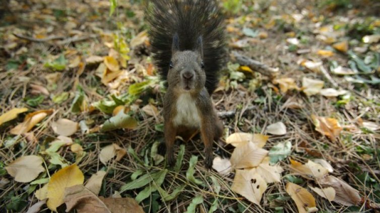 Слънцето остава... В края на седмицата &ndash; заоблачаване