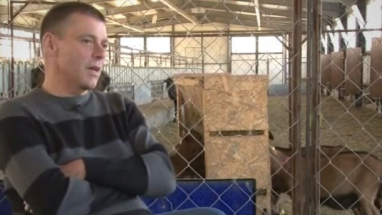 От Алпите до Дряново! Да хванеш гората с&hellip; козата