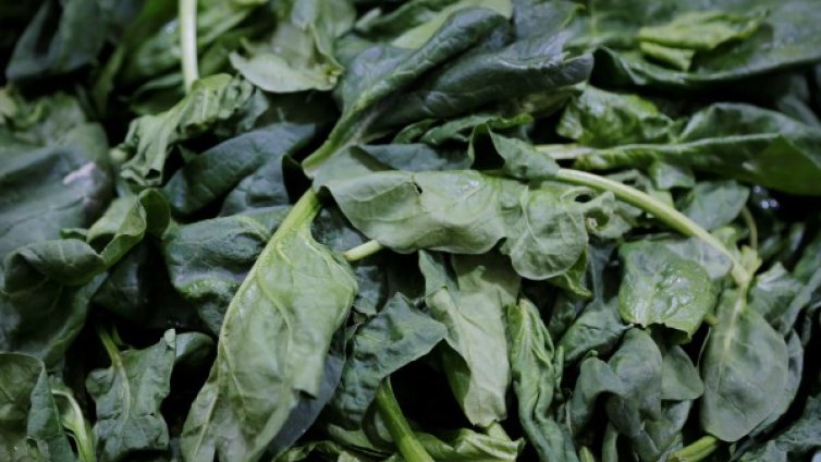 Спанак, а отровен: Пострадал ще си търси правата в съда