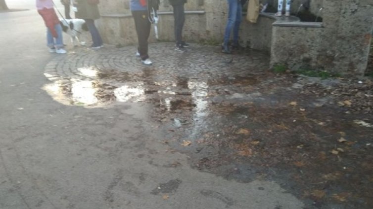 Куче на тераса, течаща чешма, затворена улица от строеж