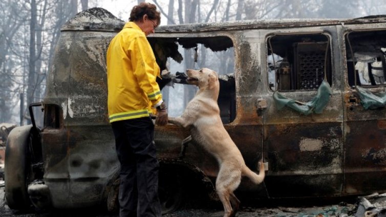 Денят в снимки &ndash; 15 ноември