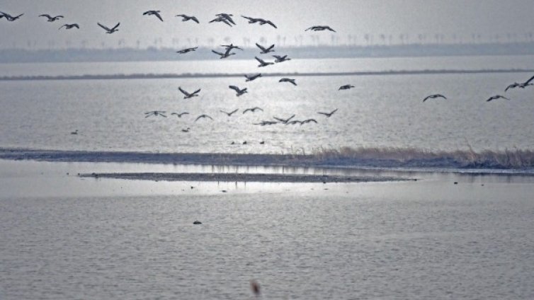 Времето утре: Облачно, на места дъжд, на други &ndash; сняг 