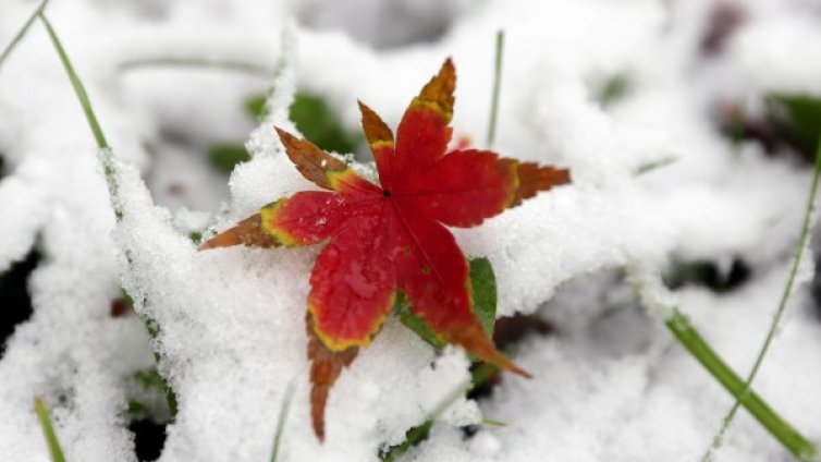 Времето във вторник: Снегът спира, но идва дъжд