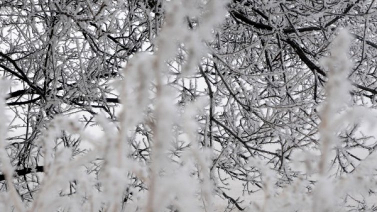 АПИ предупреди: Иде сняг, тръгвайте подготвени!