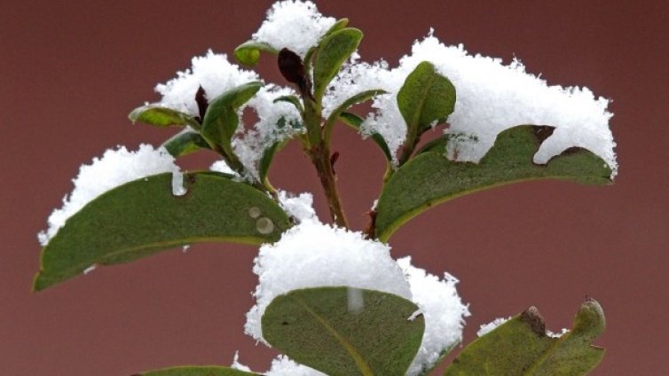 Времето в неделя: Леко затопляне, без валежи